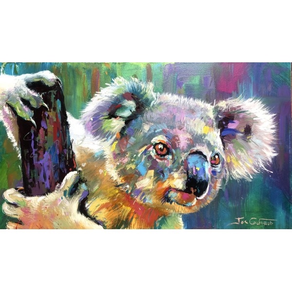 Koala 21