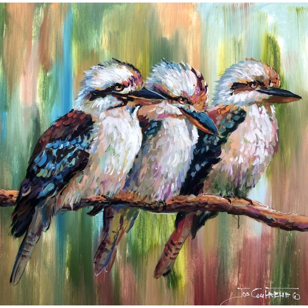 Three Kookaburras II